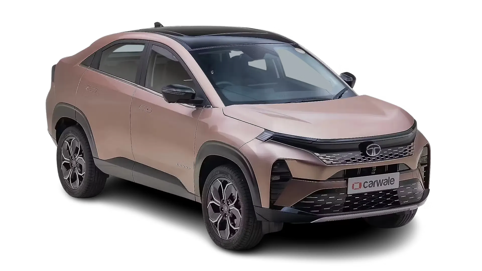 Tata Curvv